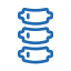 spine