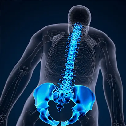 Chiropractic Services